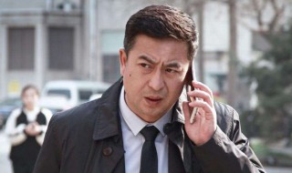 张嘉译演的李国栋是什么电视剧(张嘉译主演李国全的那个电视剧名字叫什么)