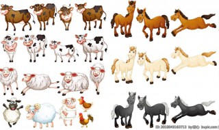 网络用语牛马什么意思（网络流行语牛马是什么意思）