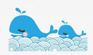 被称为海洋巨无霸的动物是什么 被称为海洋巨无霸的动物是什么动物