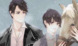 碎玉投珠讲的什么（碎玉投珠讲的什么结局）