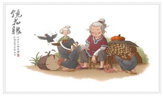 镜花缘梗概 镜花缘梗概1到50回