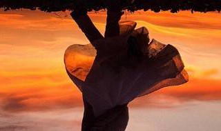 他带走余生欢结局（他带走余生欢结局怎么样）