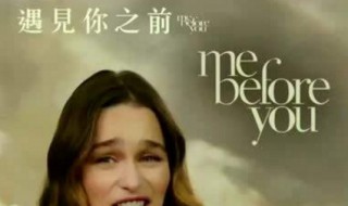 遇见你之前原著结局（遇见你之前原著结局解析）