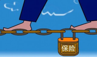 美亚保险客服热线 美亚保险的客服电话是多少