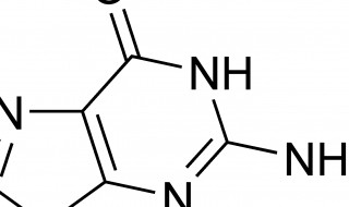 碱基被替换氨基酸序列没改变的原因（碱基对替换改变氨基酸序列）