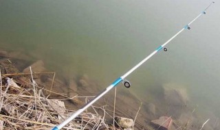 串钩的钓法 串钩的钓法图解视频