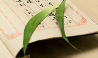 夫笃终追远人德归厚翻译 慎终追远,民德归厚矣翻译