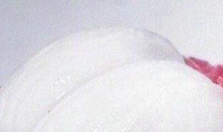 怎么剥山竹手不会脏 如何剥山竹不脏手