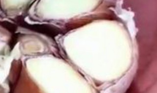 蒜怎么才能剥得快（蒜怎么才能剥得快一些）