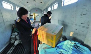 怎么运输狗狗（怎么运输狗狗的东西）