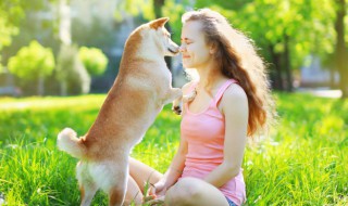 狗的尾巴偏哪边好（小狗尾巴偏哪边好）