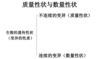 质量性状与数量性状有什么区别? 质量性状与数量性状有何区别