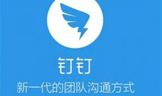 钉钉怎么看红花（钉钉里的小红花在哪里看）