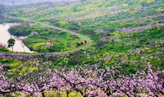 南京开春游玩的好地方（南京春季游玩好去处）