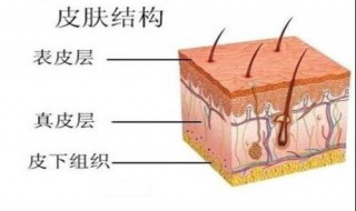 皮肤角质层薄如何护理（皮肤角质层薄如何护理图片）