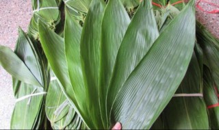 粽叶是什么垃圾（粽叶是什么垃圾端午节放假）