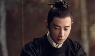 鹤唳华亭萧定权的身世是什么(鹤唳华亭中萧定权是谁的儿子)