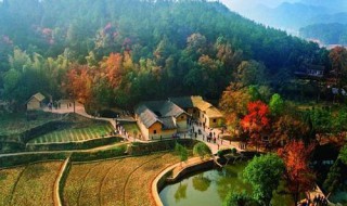 五一国内最适合去哪玩(国内五一适合去哪里玩)