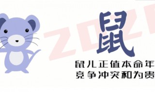 2020最吉的四大生肖(2020年最好的三大生肖)