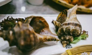 蒸海螺哪里不能吃 蒸海螺哪里不能吃的