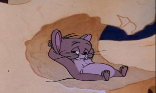 猫和老鼠婴儿猫是哪一集（猫和老鼠婴儿猫是哪一集出现的）