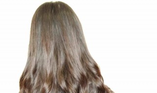 烫什么头发好看（男生一般烫什么头发好看）