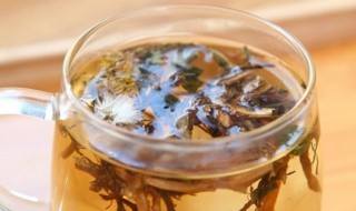 山楂蒲公英怎么泡水（山楂蒲公英怎么泡水喝最好）