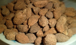 春砂仁的作用 牛肉炖春砂仁的作用