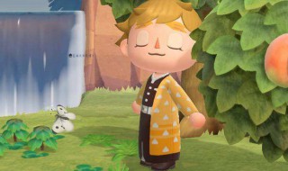 动物森友会的新玩法 动物森友会从新玩