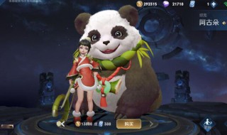 阿古朵到底是辅助还是打野(阿古朵打辅助还是打野)