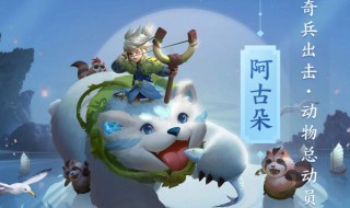 阿古朵打野教学（阿古朵打野教学视频）