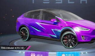 和平精英特斯拉买错了怎么办 和平精英特斯拉换错了怎么办