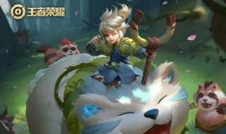 王者荣耀阿古朵技能介绍（王者荣耀阿古朵技能介绍大全）