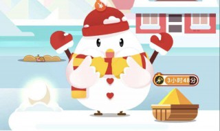 庄园除了养小鸡还可以做什么（庄园除了养小鸡还可以做什么工作）