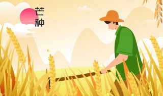 每年6月5日是什么节日 每年5月6号是什么节日