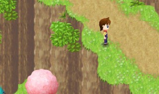 牧场物语女孩版攻略 牧场物语女孩版攻略人物喜好