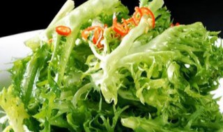 凉拌苦菊要不要焯水
