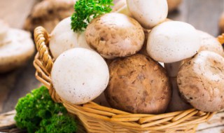 如何制作原味烤口蘑（烤口蘑菇怎么做好吃?）