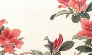 国画如何入门（国画如何入门教学）