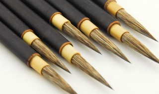 勾线笔怎么选购（初学者勾线笔应该买哪些）