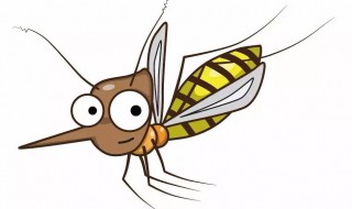 半夜怎么快速抓蚊子 半夜快速抓蚊子的方法