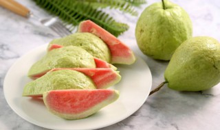 芭乐冻了还能吃吗 芭乐果冻了能吃吗