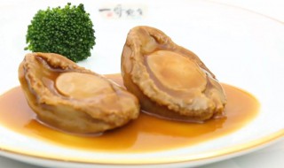 怎么判断鲍鱼是不是变质 怎么判断鲍鱼是不是变质食品