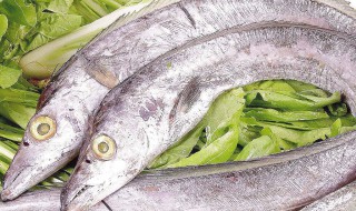 带鱼清洗干净的方法 怎么清洗带鱼干净