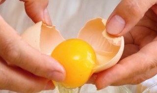 肉饼蒸鸡蛋教程 肉饼蒸蛋怎么弄