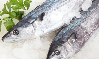 晒鲅鱼的正确方法（鲅鱼怎么晾晒）