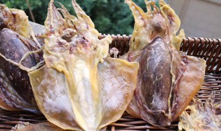 墨鱼干处理方法（墨鱼干怎样处理）