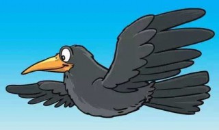 乌鸦喝水新方法 乌鸦喝水新方法议论文作文