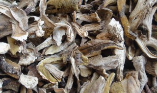 干牛肝菌保存方法（干牛肝菌保存方法图解）