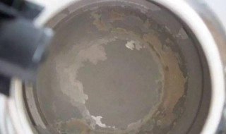 铝烧水壶水垢怎么清除（烧水铝壶里的水垢怎么去除）